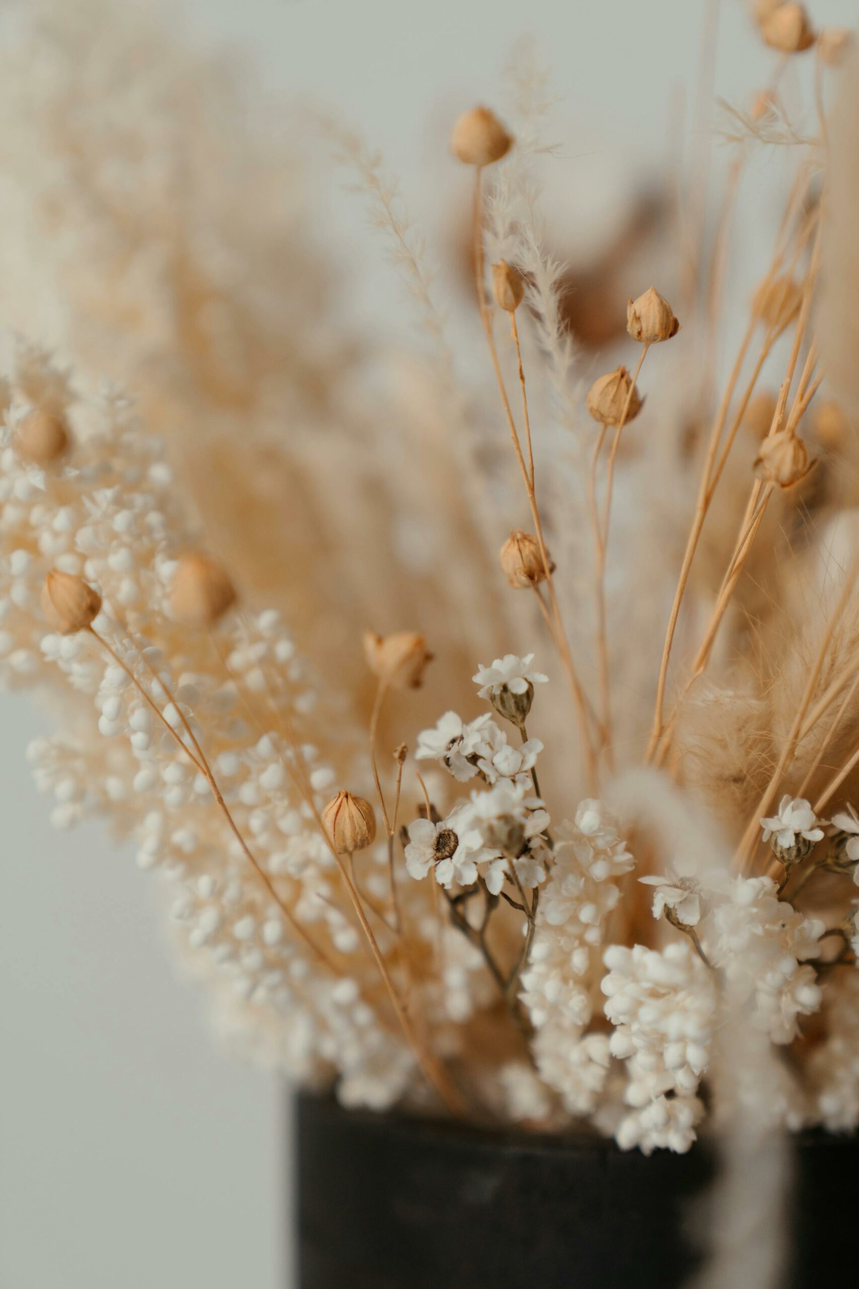 Photo pour page hommage pexels-cottonbro-4273432