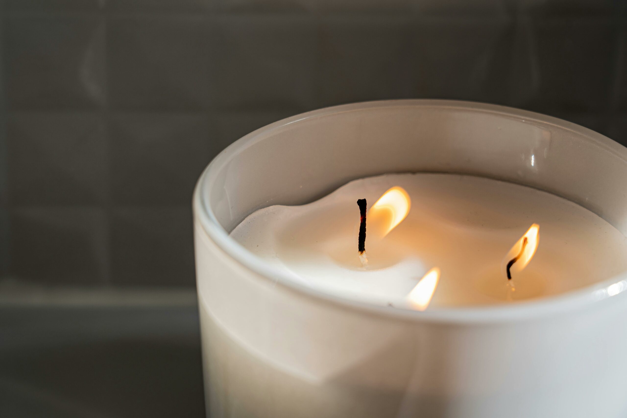 Photo pour page hommage pexels-castorlystock-3654618