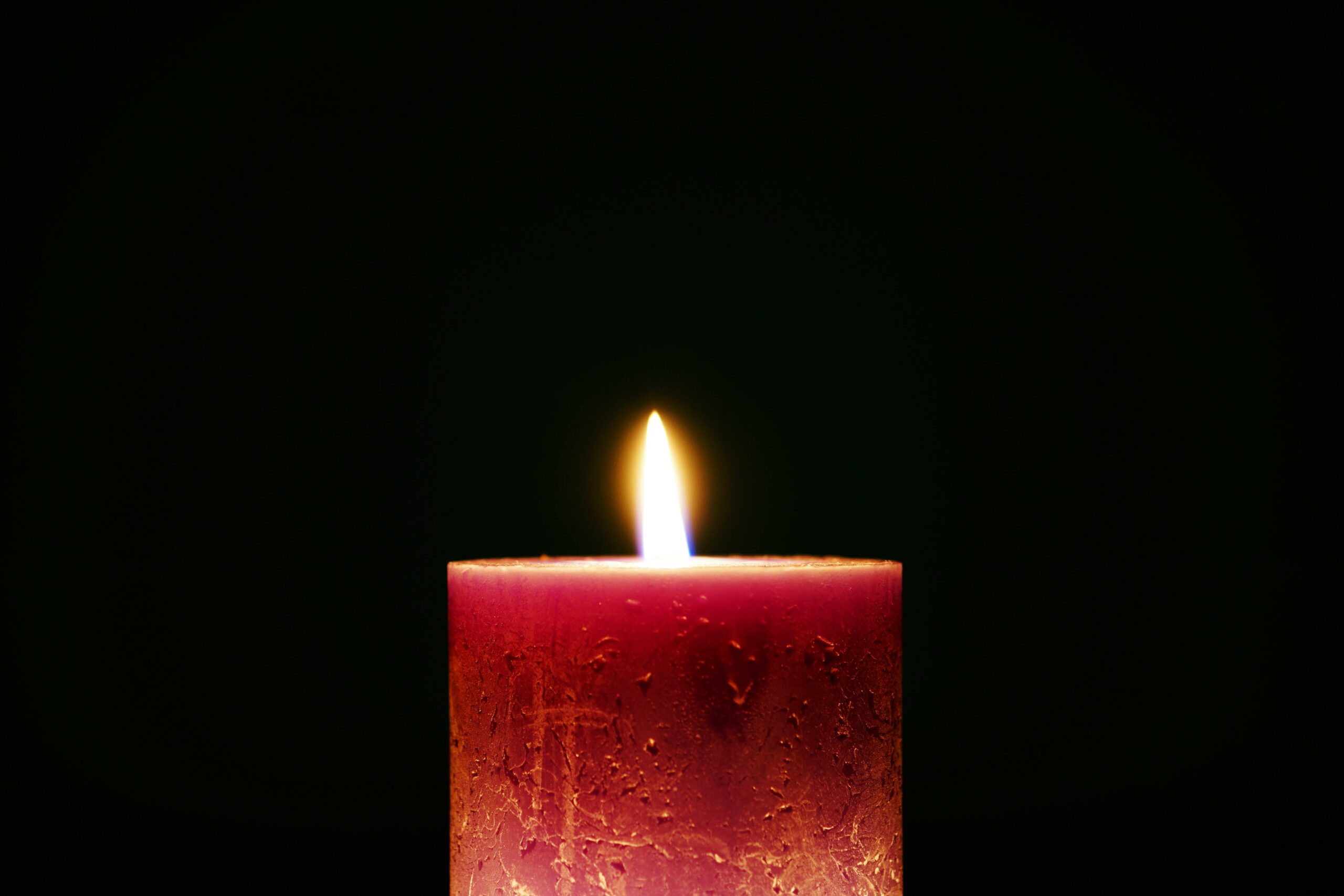 Photo pexels-eye4dtail-357543 pour page hommage